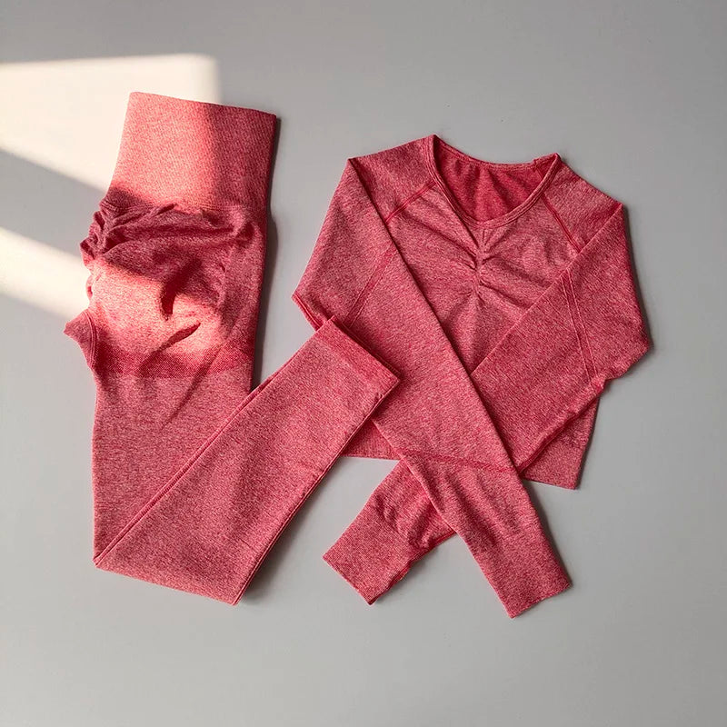 LuxeFit Seamless Performance 2-Piece Long Sleeve Workout Set
