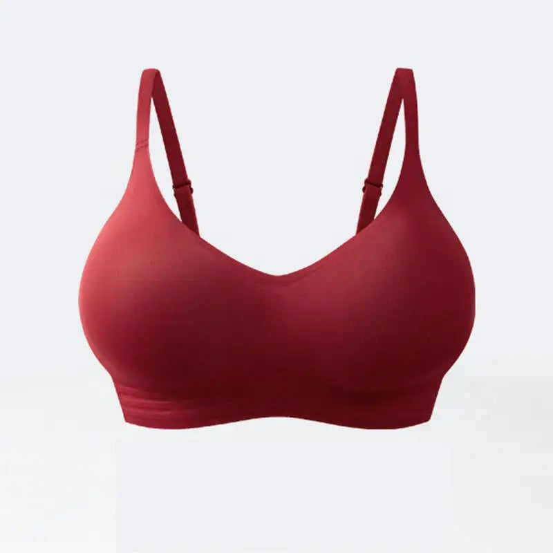 LuxeFit Seamless Comfort & Support V-Neck Bra