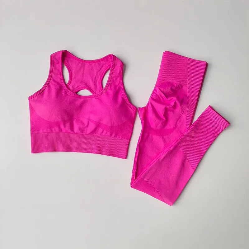 LuxeFit Seamless 2-Piece Sculpt & Perform Tracksuit