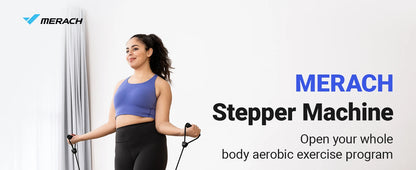 LuxeFit Mini Twist Stepper with Resistance Bands